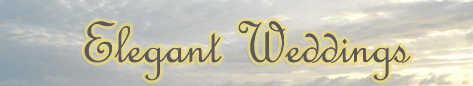 St. Augustine Beach Weddings Performed by Elegant Weddings